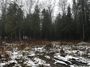 Земельный участок 15 соток в Московская обл., пос. Некрасовский, 8000000 руб.