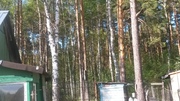Избушка в сказочном лесу. Егорьевское шоссе, 55 км от МКАД, 600000 руб.