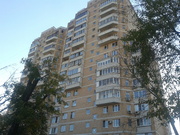 Москва, 2-х комнатная квартира, ул. Соколиной Горы 8-я д.20 к1, 13300000 руб.