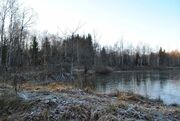 Земельный участок на лесной опушке в СНТ Родничок у д. Порядино, 475000 руб.